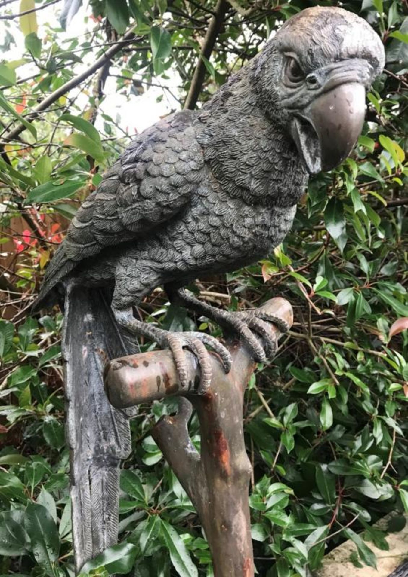 1 x Majestic Looking Lifelike Giant Bronze Oversized Parrot On Perch Garden Sculpture - - Image 6 of 9