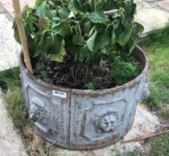 1 x Large Round Cast Iron Planter / Trough With Lion Heads Around The Circumference - Dimensions: