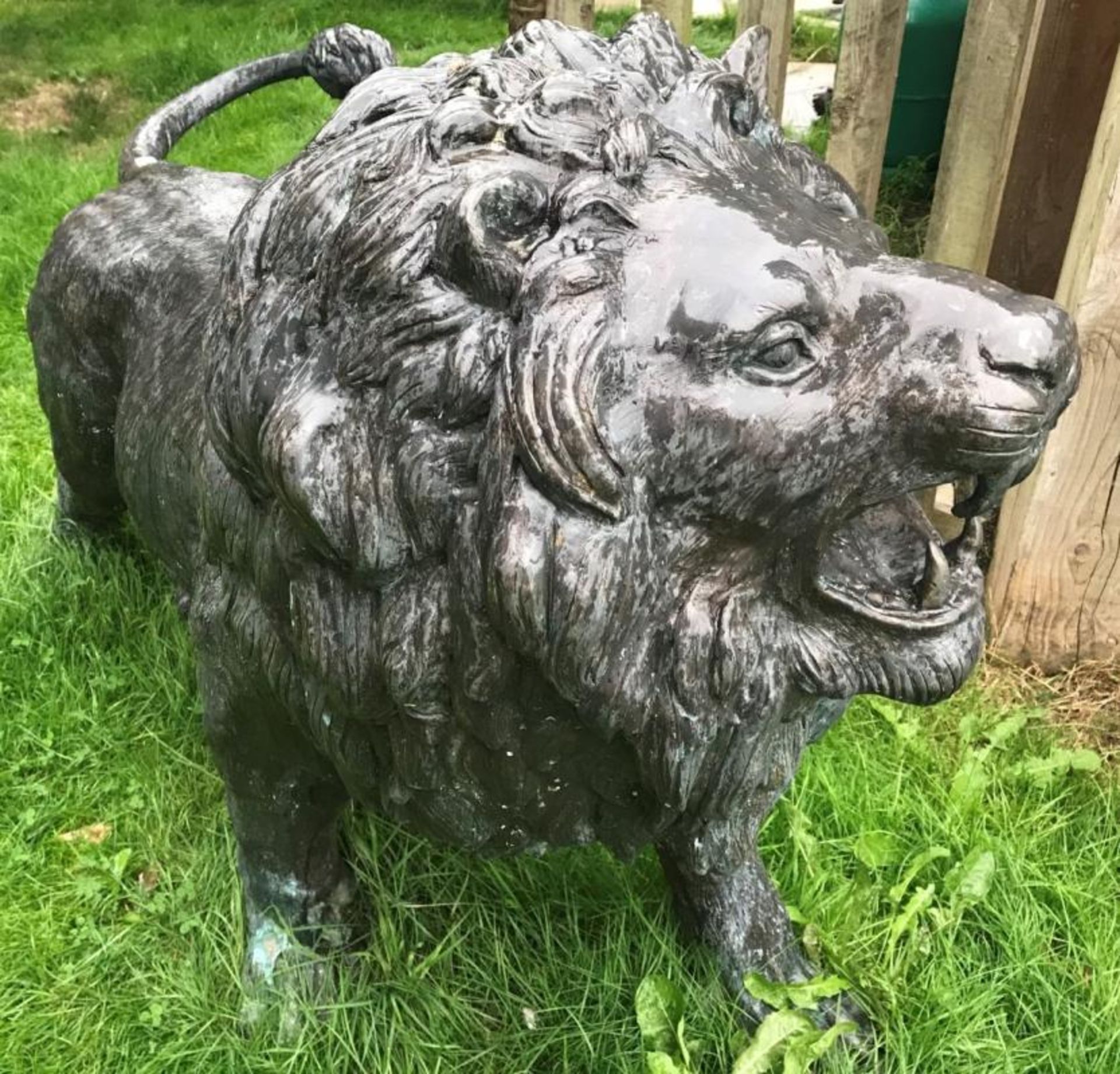 1 x Majestic Realistic Giant 1.6 Metre Tall Bronze Standing Male Lion Garden Sculpture, - Image 7 of 9