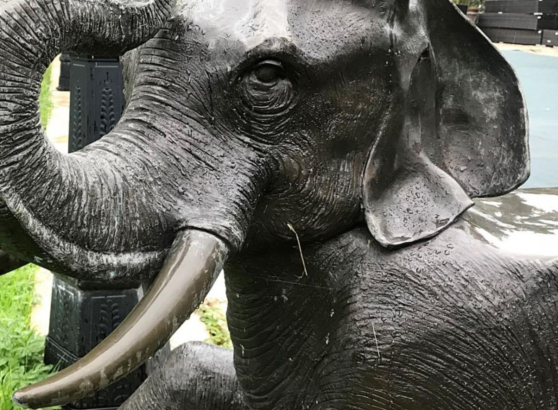 1 x Majestic Giant Bronze Baby Elephant Lifelike Sculpture, Formed With Seating - Extremely - Image 7 of 7