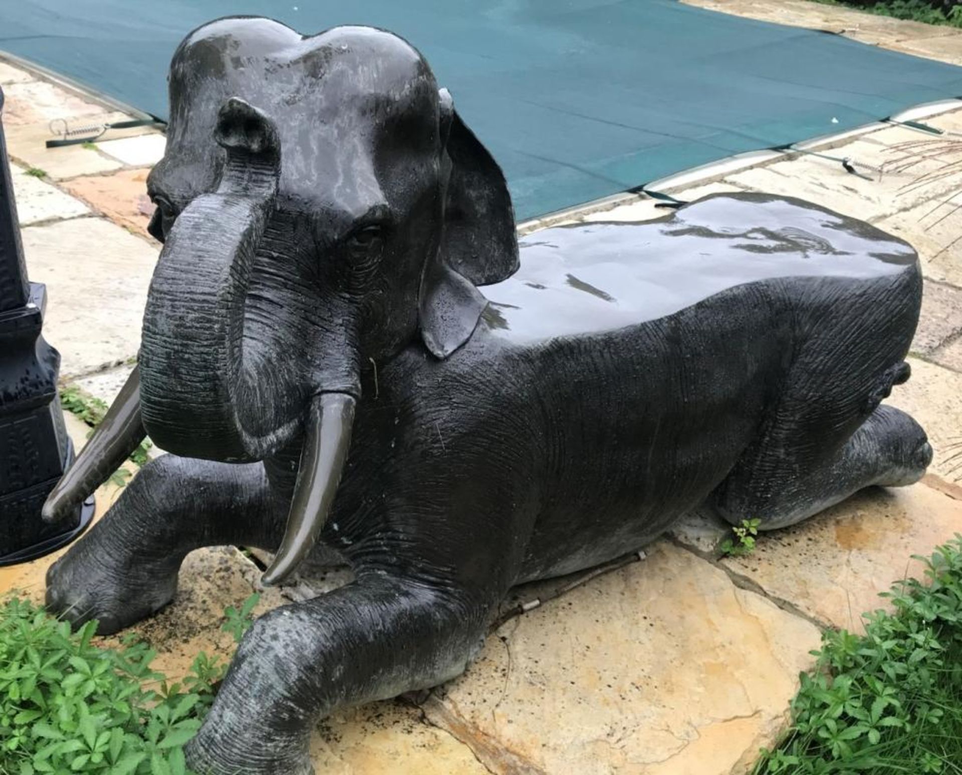 1 x Majestic Giant Bronze Baby Elephant Lifelike Sculpture, Formed With Seating - Extremely