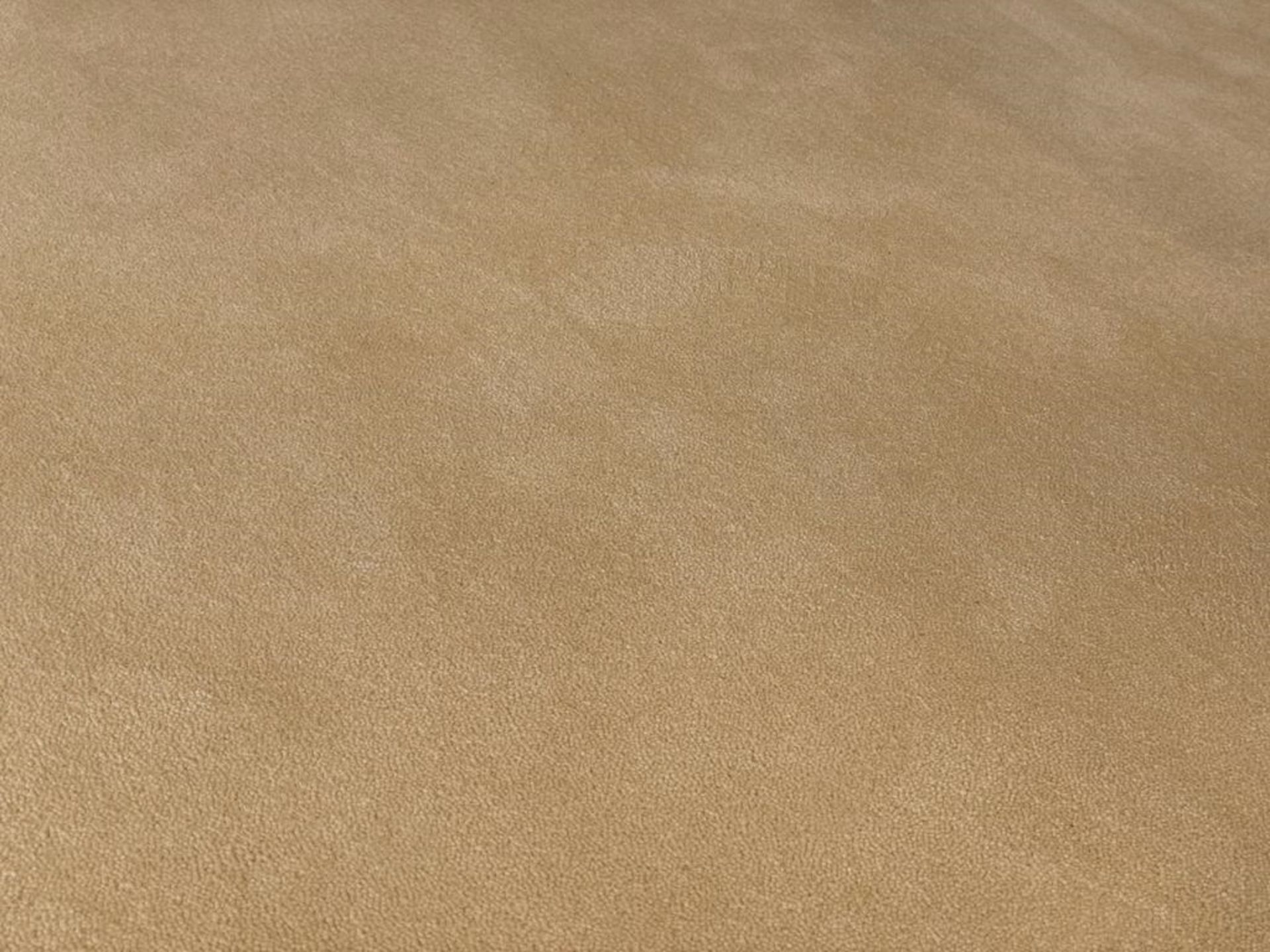 1 x Brintons Woven Wool Carpet in Cream - Large Area Covering Approx 445 x 515 cms - NO VAT ON THE - Image 3 of 3