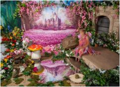 1 x Professional 'Fairy Experience' Photography Studio Set Featuring Backdrops, Costumes And Props