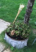 1 x Large Round Cast Iron Planter / Trough With Lion Heads Around The Circumference - Dimensions: