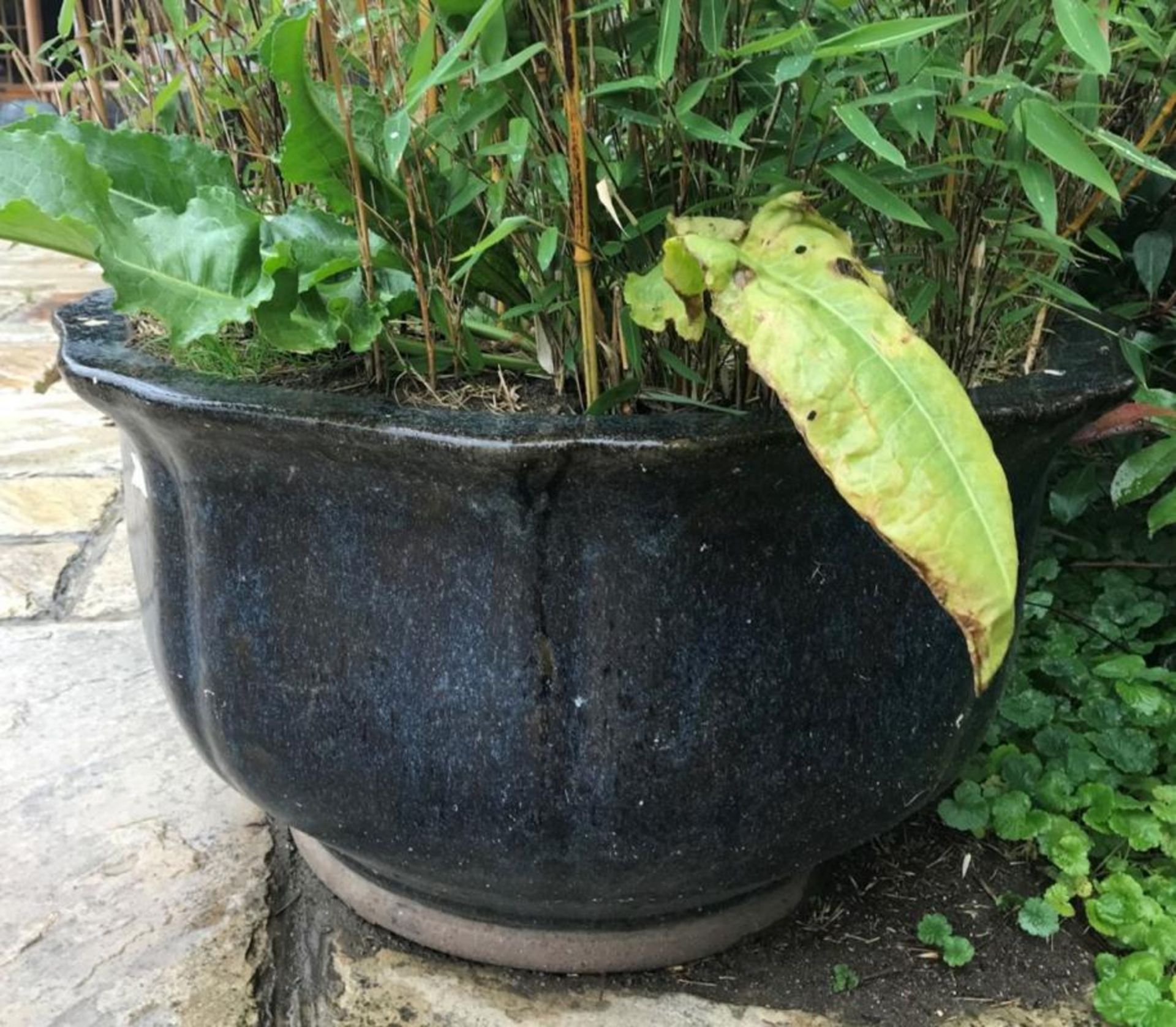 1 x Substantial Ceramic Garden Planter Diameter approx 78cm!! x Height 45cm - Ref: JB139 - Pre-Owned - Image 5 of 5