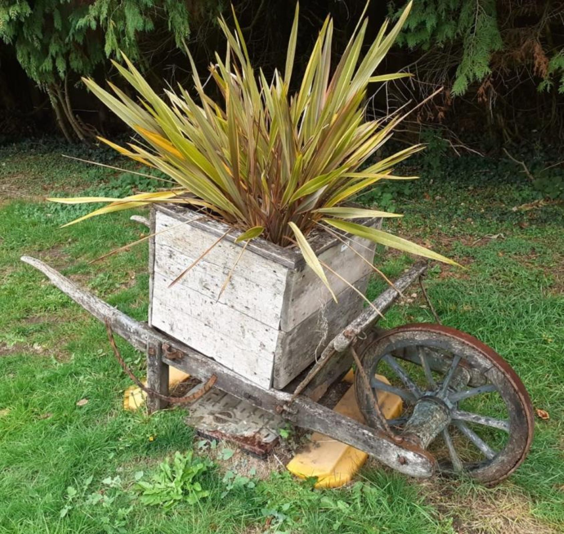 1 x Large Wood Feature Wheel Barrow Planter - Dimensions: L195cm x D58cm x H83cm - Ref: JB118 -