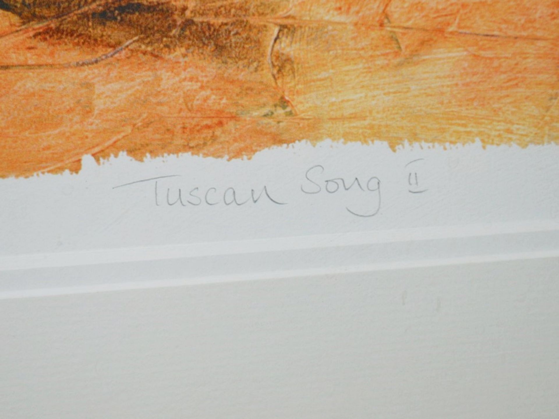 1 x Framed Limited Edition Art Print 'Tuscan Song II' By RICHARD PARGETER - Signed And Mounted - - Image 5 of 6