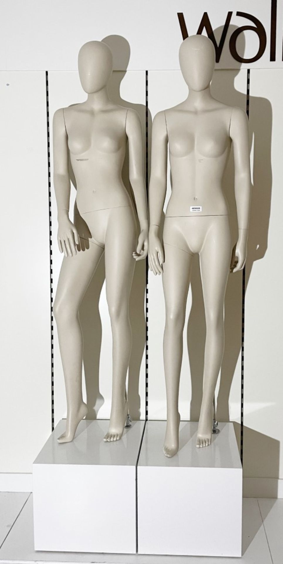 2 x Full Size Female Mannequins on Pedestal Plinth Stands - CL670 - Ref: GEM236 - Location: