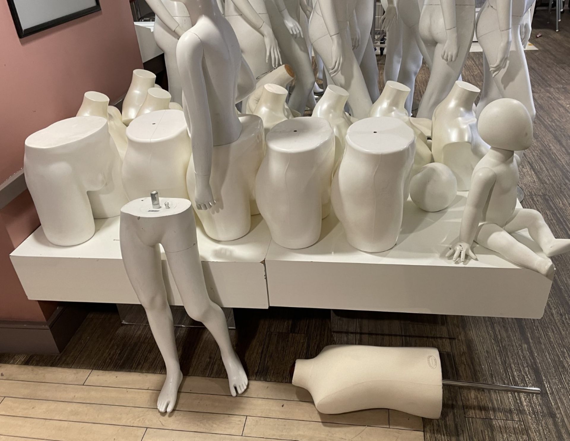 1 x Large Collection of Mannequin Items Including 9 x Female Busts, 3 x Junior Mannequins, 2 x - Image 7 of 11