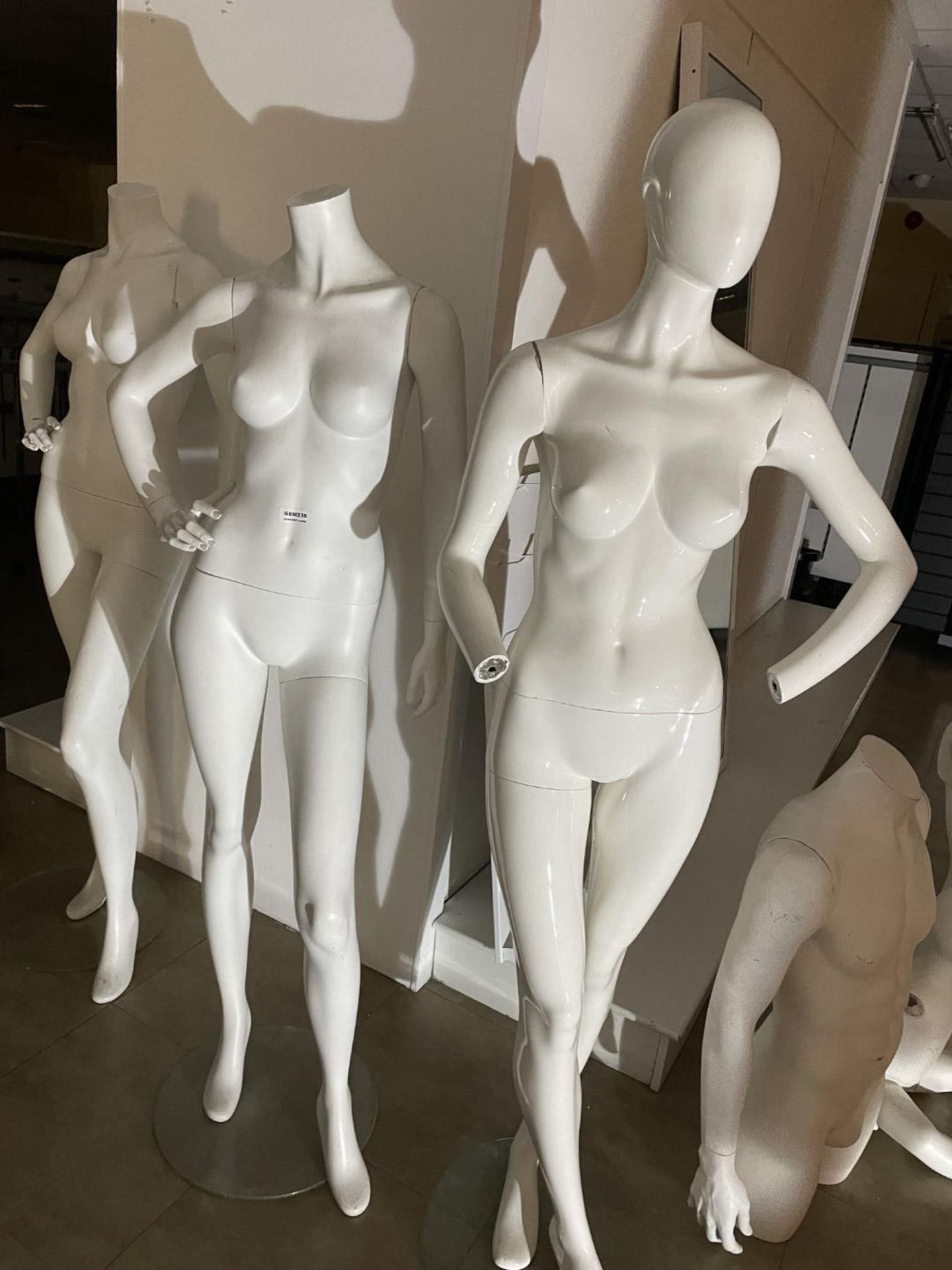 6 x Assorted Mannequins Plus Four 1 x Wall Mirror and 1 x Wall Display - Includes Complete and - Image 5 of 7