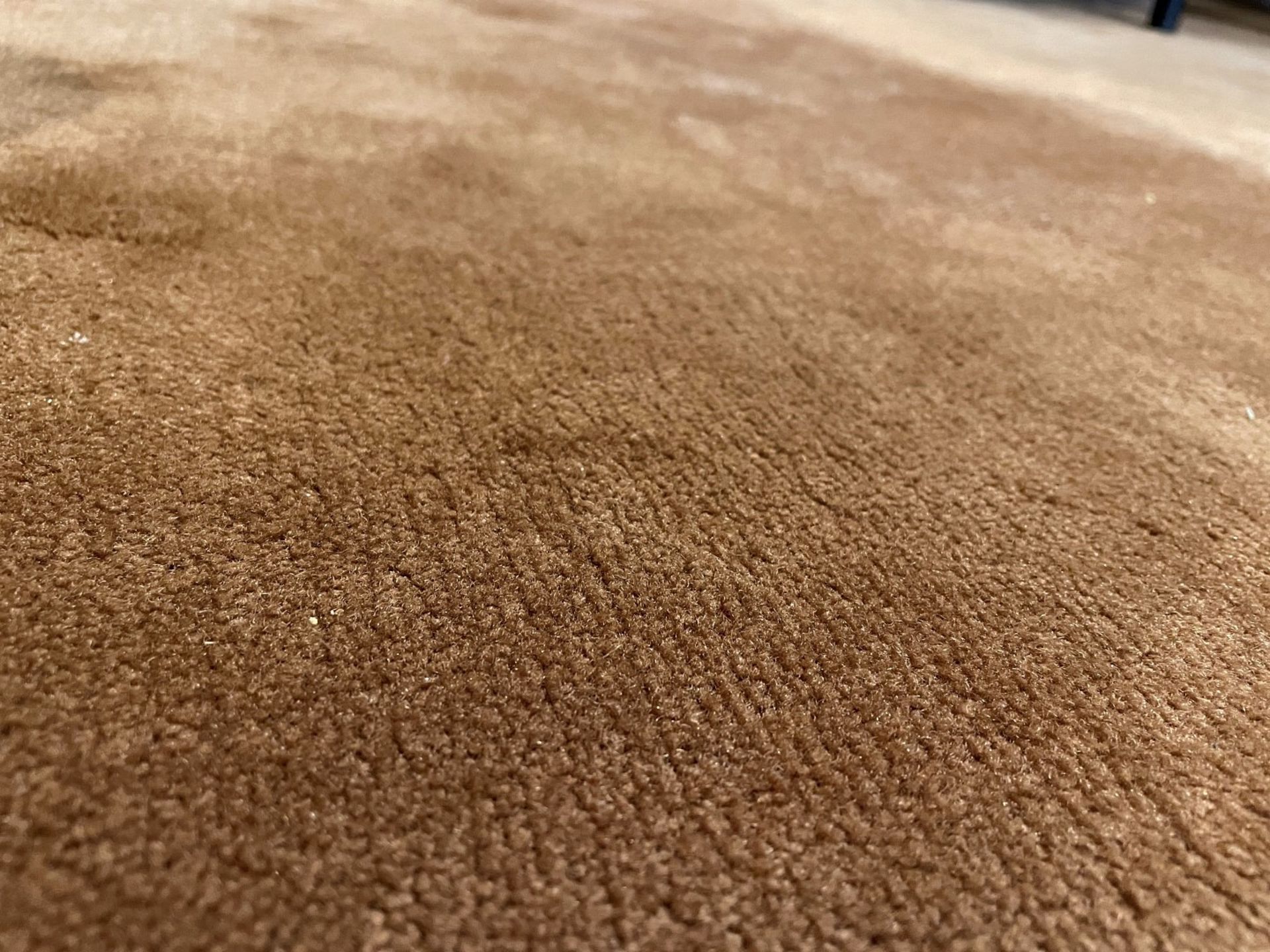 1 x Large Premium Carpet In Light Brown - Dimensions: 340cm / 300cm - Ref: SGV132-GF/BDR - CL672 - - Image 5 of 6