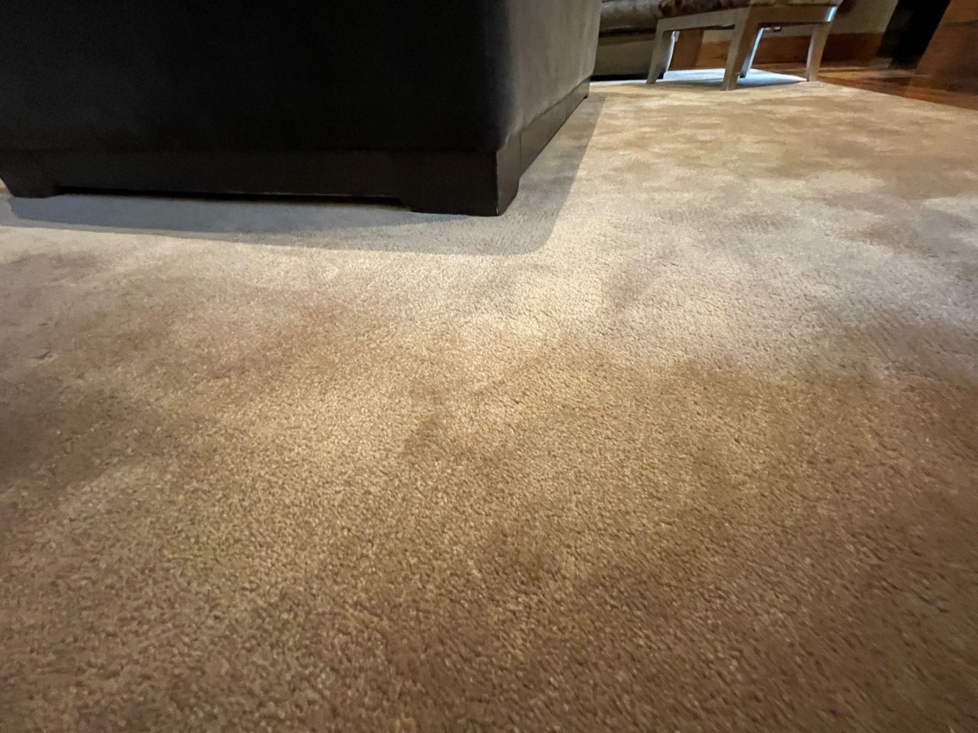 1 x Large Premium Carpet In Beige - Dimensions: 485cm / 306cm - NO VAT ON THE HAMMER - Image 6 of 6