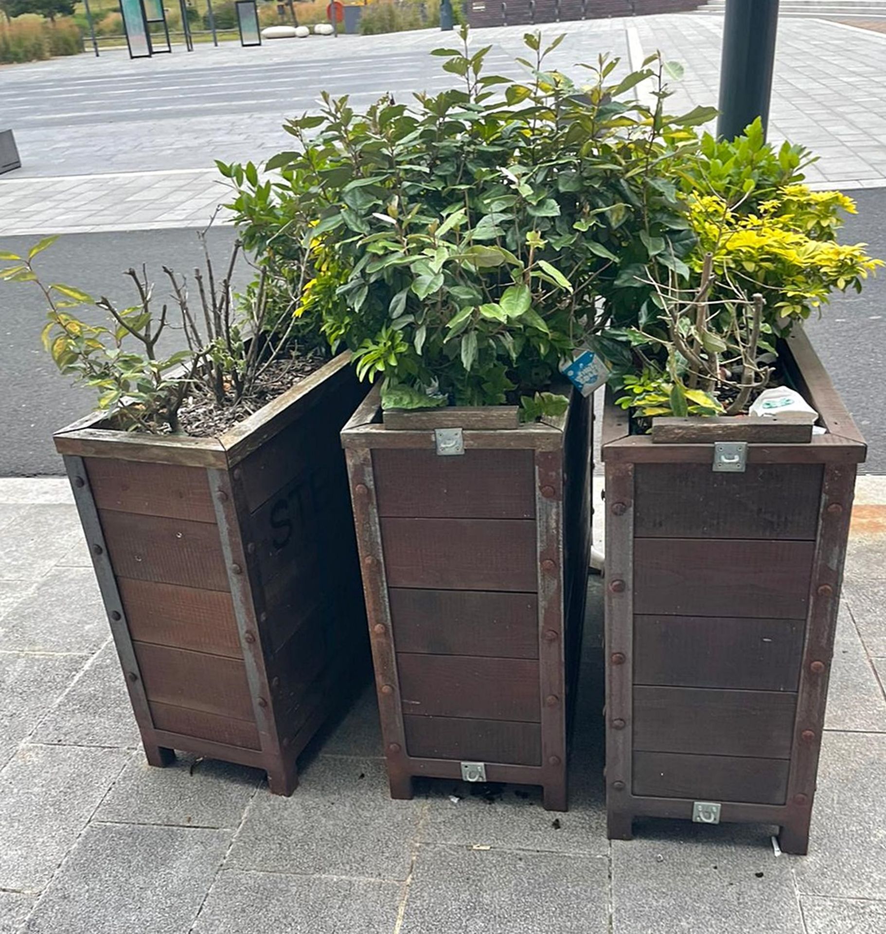 4 x Outdoor Wooden Planters With Live Plants - Size H90 x W121 x D41 cms - CL674 - Location: - Image 2 of 2