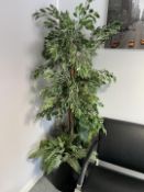 1 x Tall Freestanding Decorative Artificial Plant In Pot - From A Working Office Environment - CL680