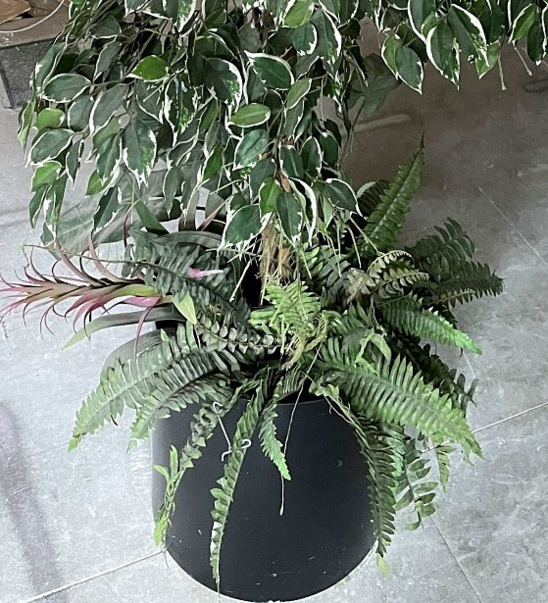 1 x Tall Freestanding Decorative Artificial Plant In Pot - From A Working Office Environment - CL680 - Image 3 of 3