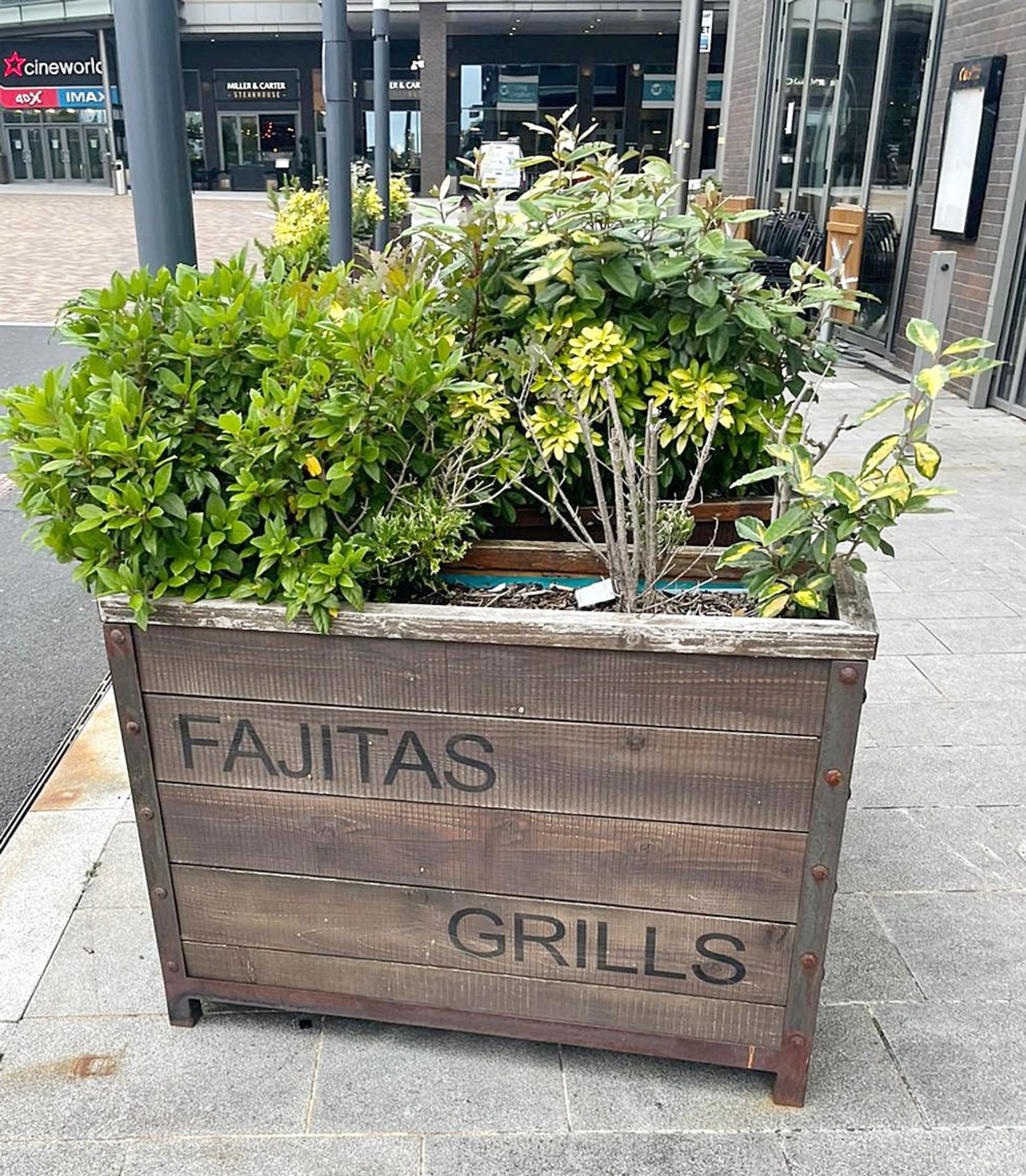 1 x Outdoor Wooden Planter With Live Plants - Size H90 x W121 x D41 cms - CL674 - Location: Telford,