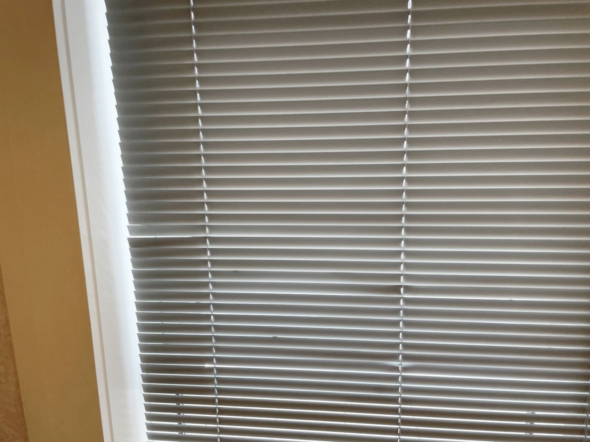 3 x Privacy Partitions (2 x With Blinds, 1 x Solid) - Dimensions: W66 x H265cm - Ref: ED158D - To Be - Image 3 of 3