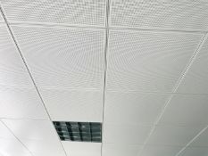 Job Lot of Metal Ceiling Tiles & Lights - To Be Removed From An Executive 2nd Floor Office