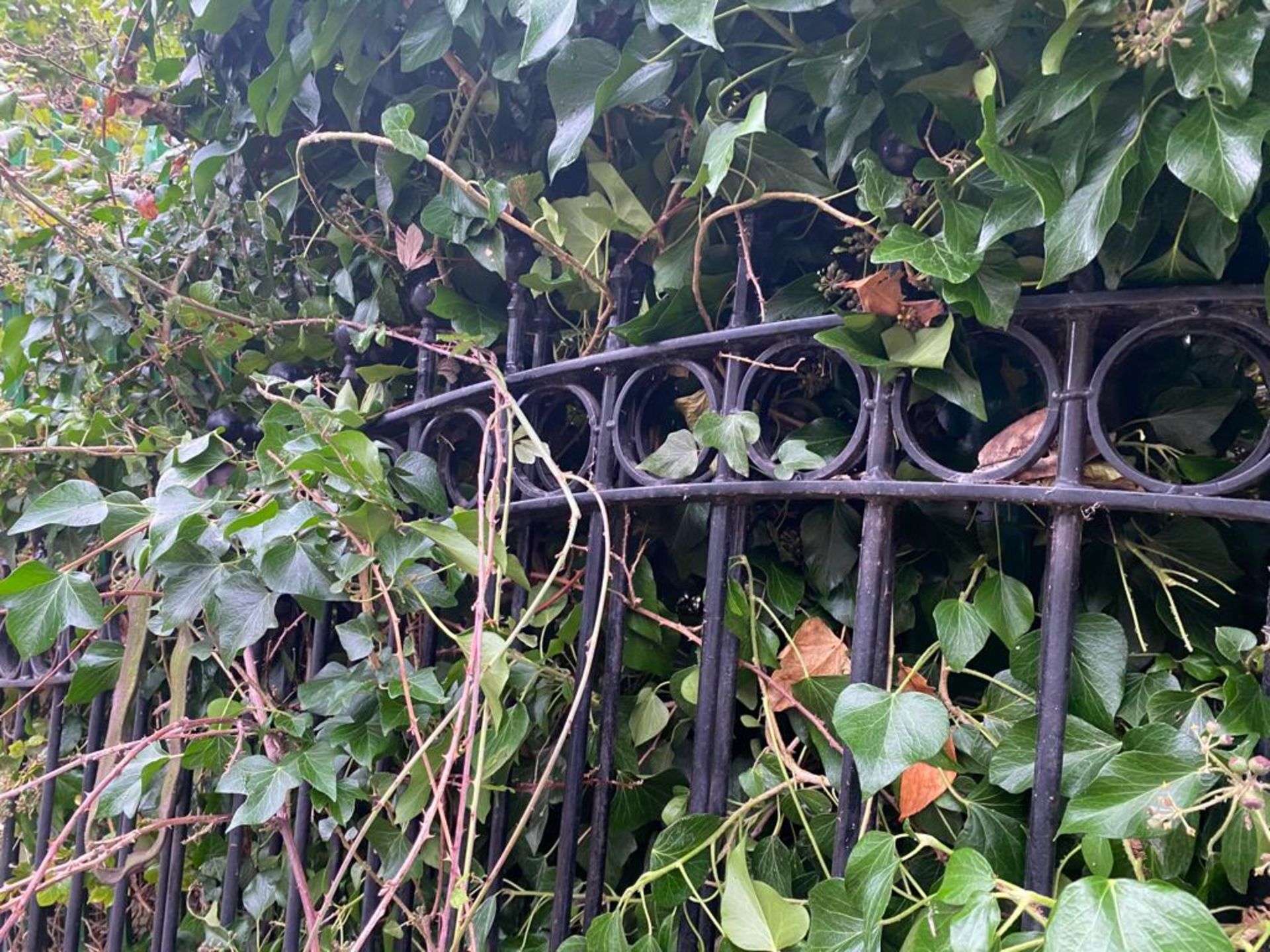 1 x Pair of Large Ornate Gates With Ball Tops - Approx Size Per Gate 200 x 200 cms - Ref: - Image 3 of 6