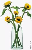 1 x LSA International 'Canopy' Clear Glass Vase - Dimensions: H32cm - Ref: HHW171/NOV21/WH2/C3 -
