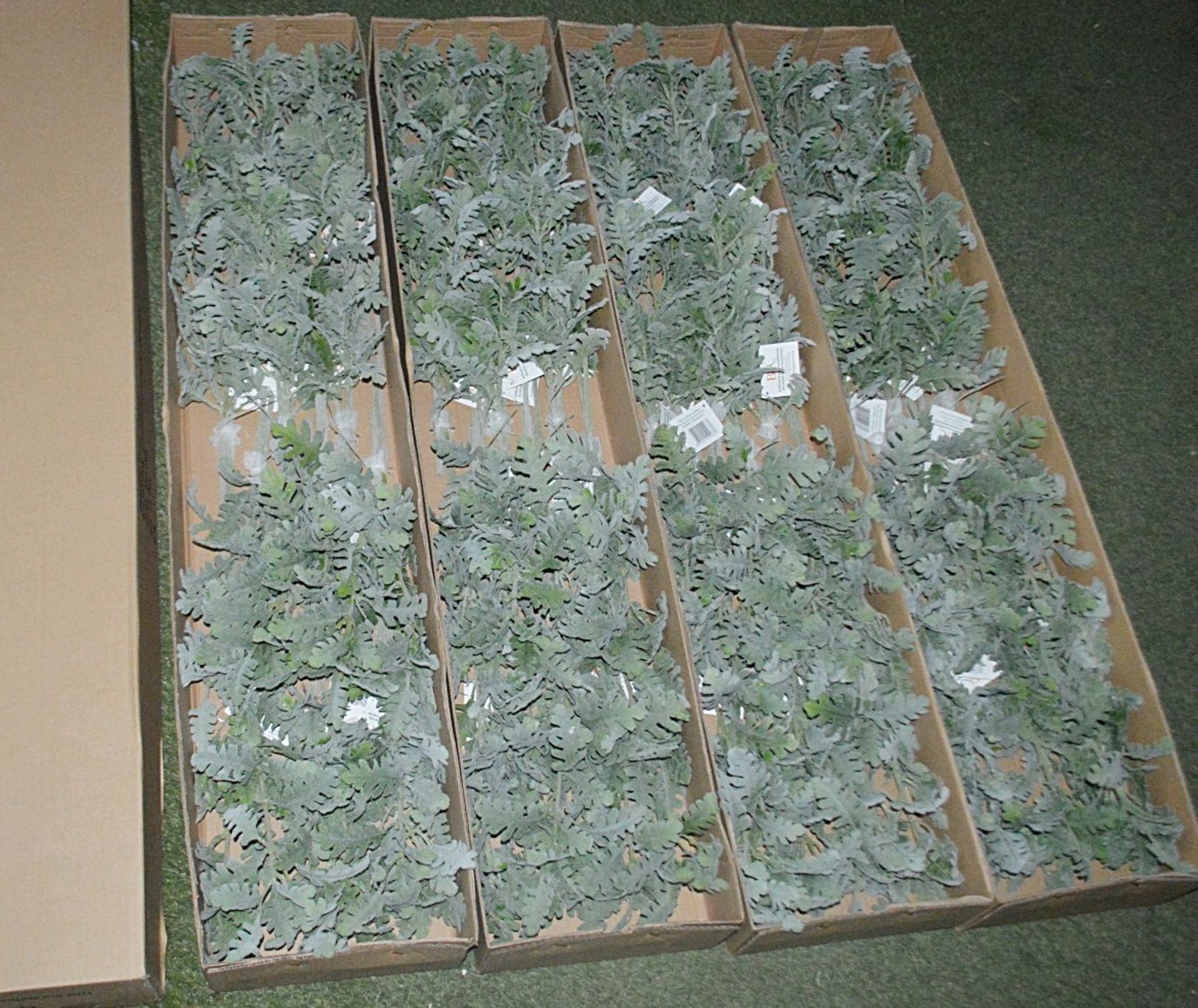 5 x Boxes Of Artificial Chrysanthemum Leaves - Approx 120 Pieces For Commercial Displays Etc - Image 2 of 5