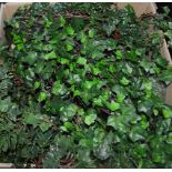 Approx 30 x Assorted Pieces Of Premium Artificial Ivy & Other Trailing Plants - Ex-Display Showroom