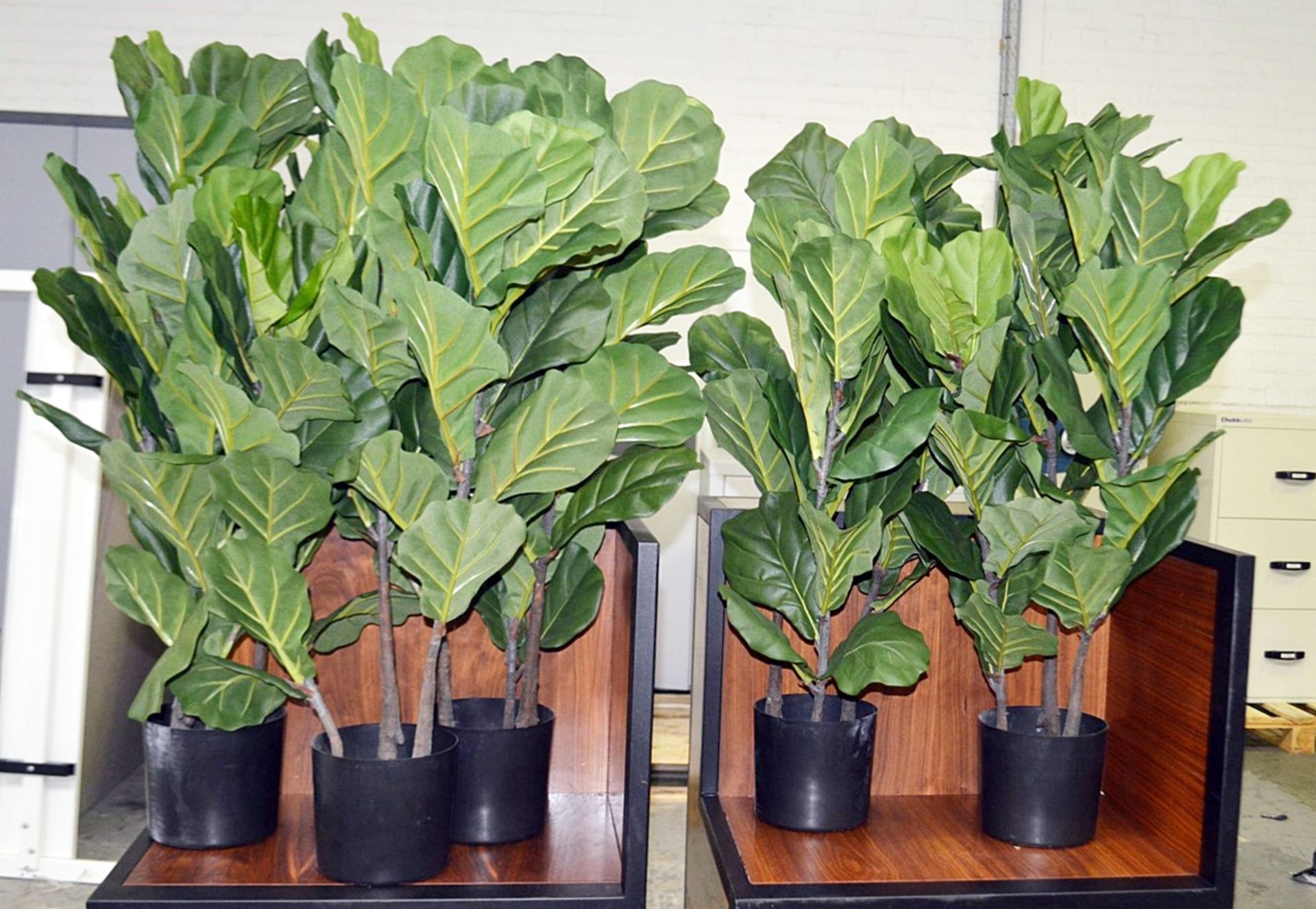 5 x Commercial Artificial Medium Sized Potted Plants - Dimensions (approx): H94 x W50cm - Ex- - Image 3 of 3