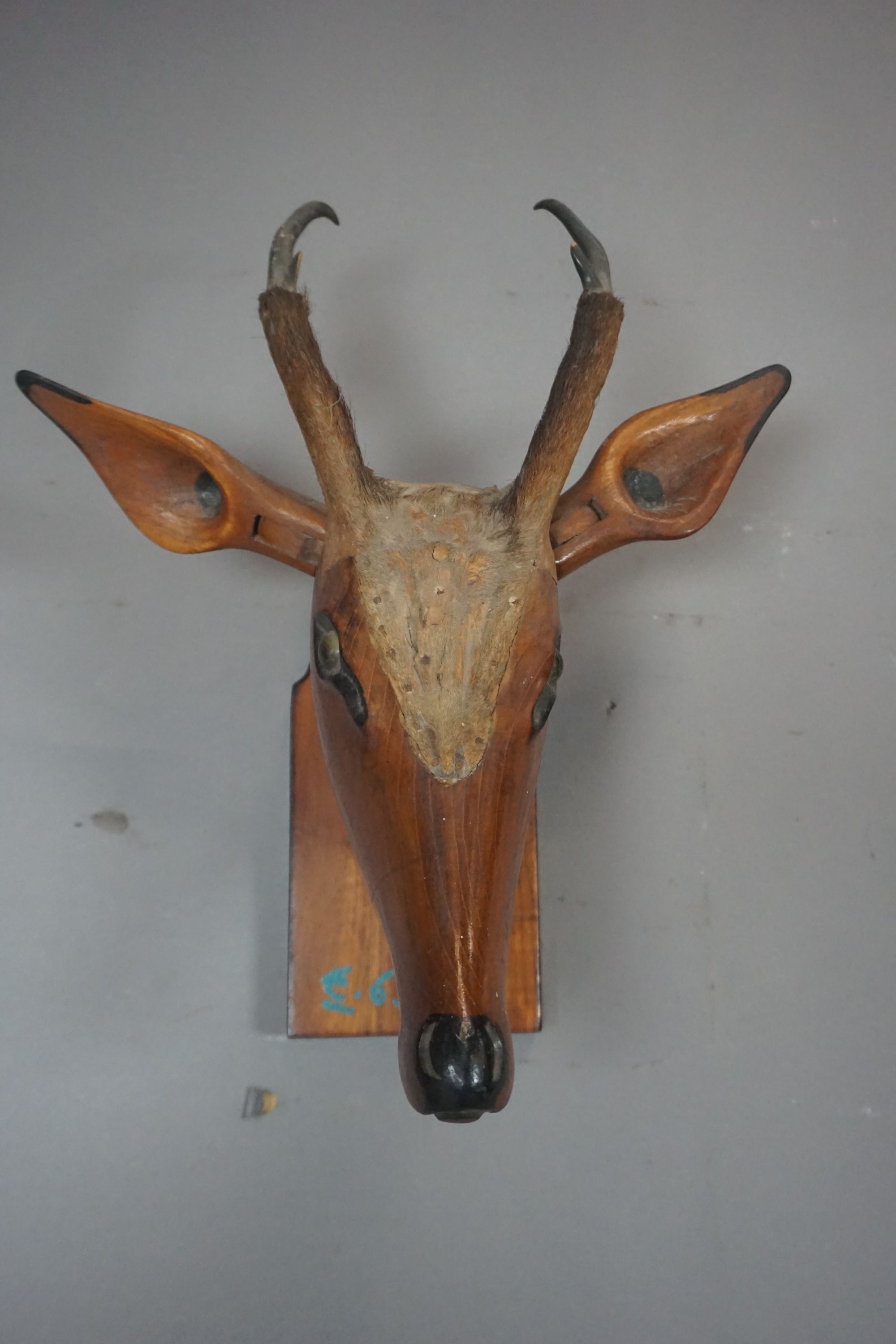 Deer head in wood H40