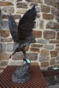 Eagle in bronze H78x36x35