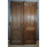 Double door in Oak, Double Face H244X150
