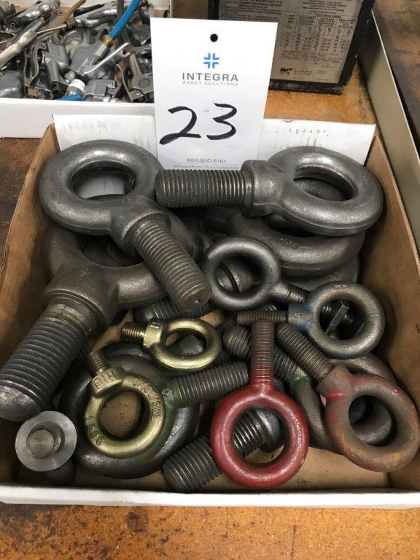 Lot of Assorted Eye Bolts