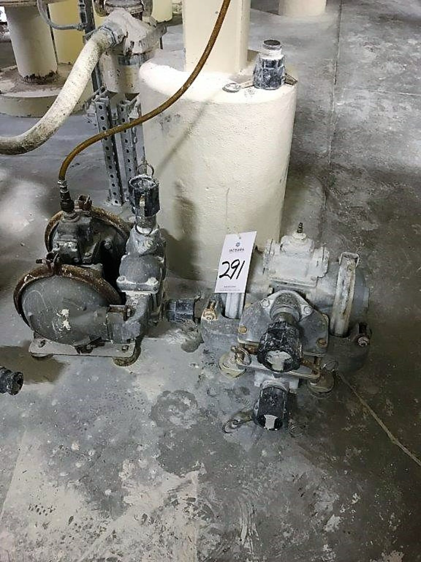 (2) Rupp Diaphragm Pumps