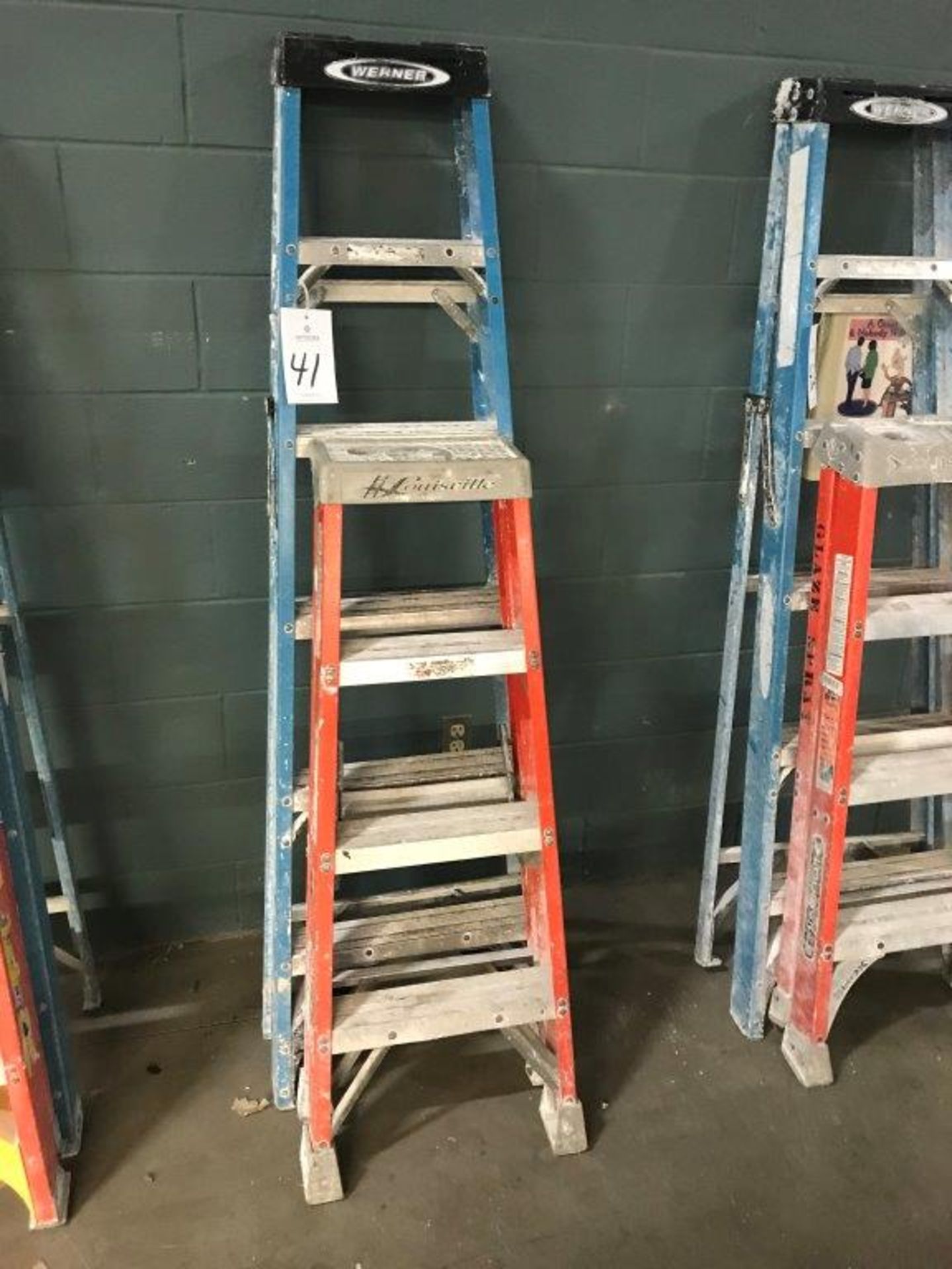 (2) Assorted Fiberglass Ladders