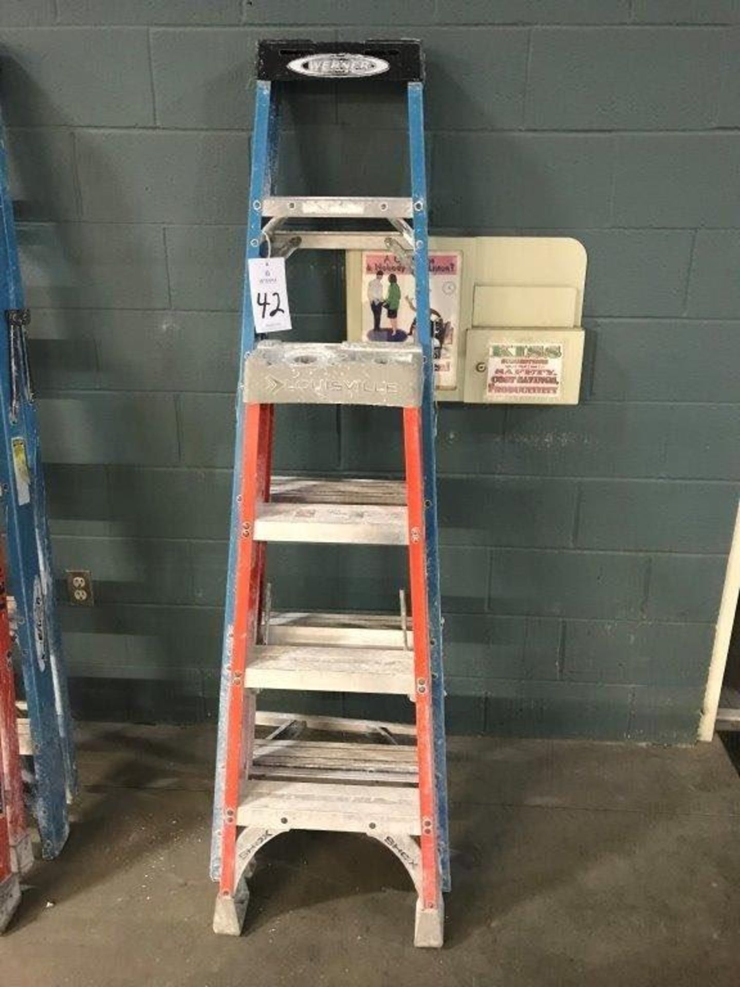 (2) Assorted Fiberglass Ladders