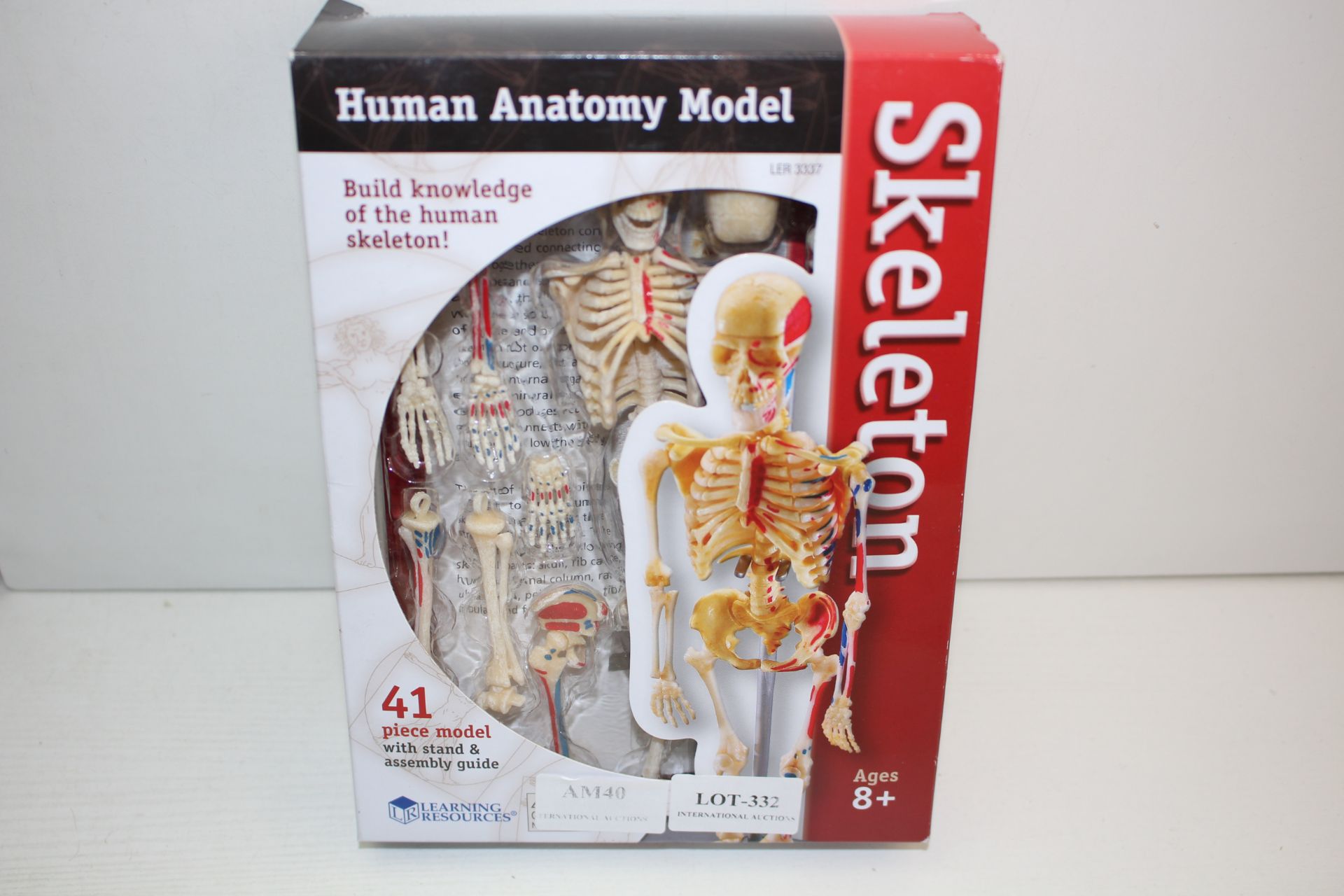 BOXED HUMAN ANATOMY MODEL SKELETON BY LEARNING RESOURCESCondition ReportAppraisal Available on