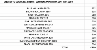 ONE LOT TO CONTAIN 12 ITEMS - WOMENS MIXED BRA LOT - RRP £209 (2002)