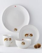 BOXED HEDGEHOG 16 PIECE DINNER SET