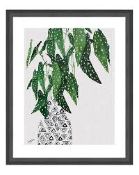 BOXED PLANT WALL ART RRP £22.99Condition ReportAppraisal Available on Request- All Items are