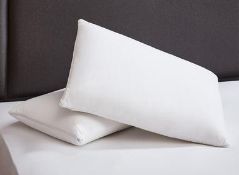 X 2 PILLOWSCondition ReportAppraisal Available on Request- All Items are Unchecked/Untested Raw