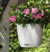 NIDO RATTAN SELF-WATERING HANGING BASKET RRP £32.99Condition ReportAppraisal Available on Request-