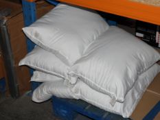 6X ASSORTED UNBOXED PILLOWS (IMAGE DEPICTS STOCK)Condition ReportAppraisal Available on Request- All