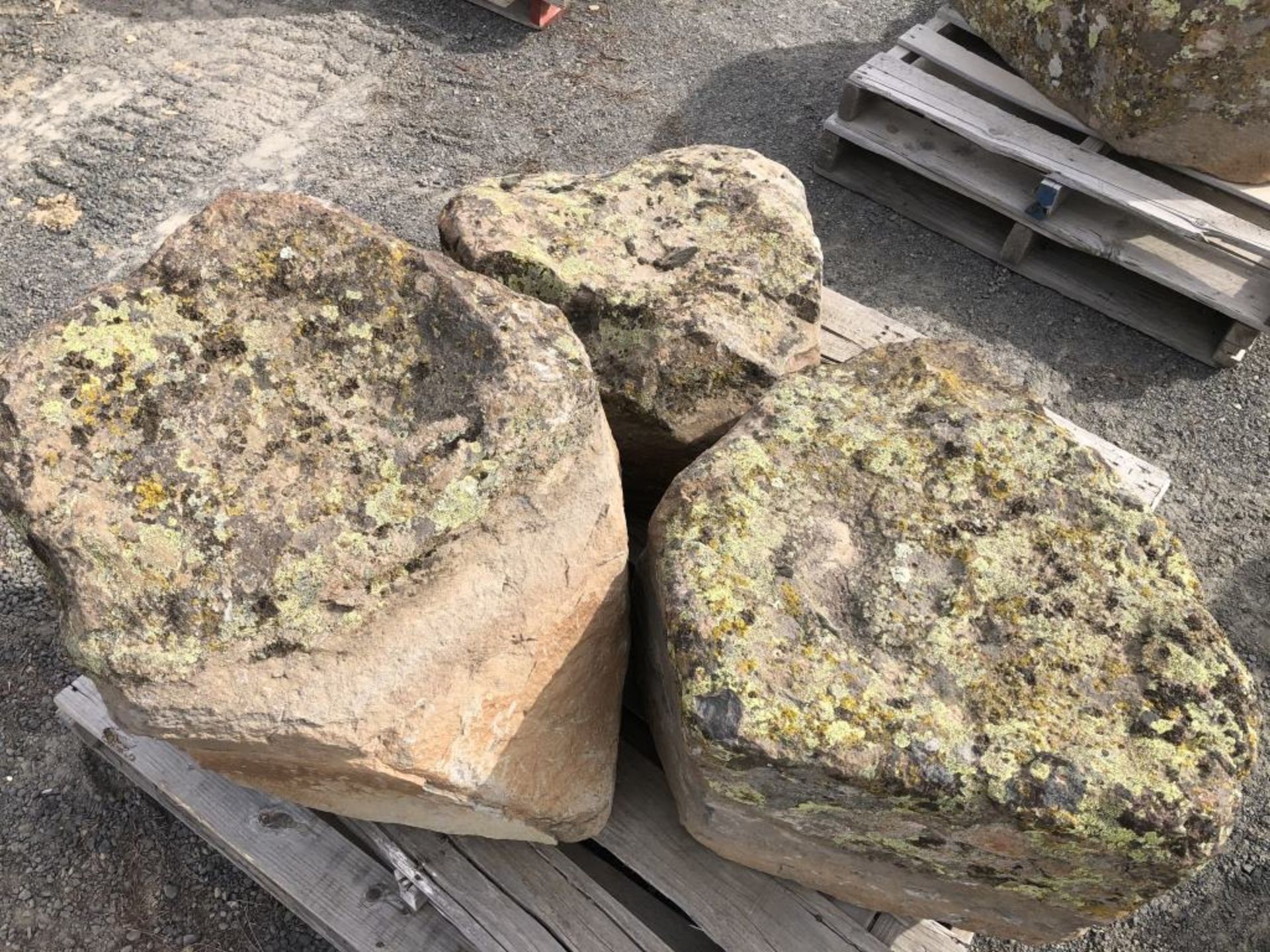 Basalt Rock w/Lichen Qty 3 - Image 4 of 4