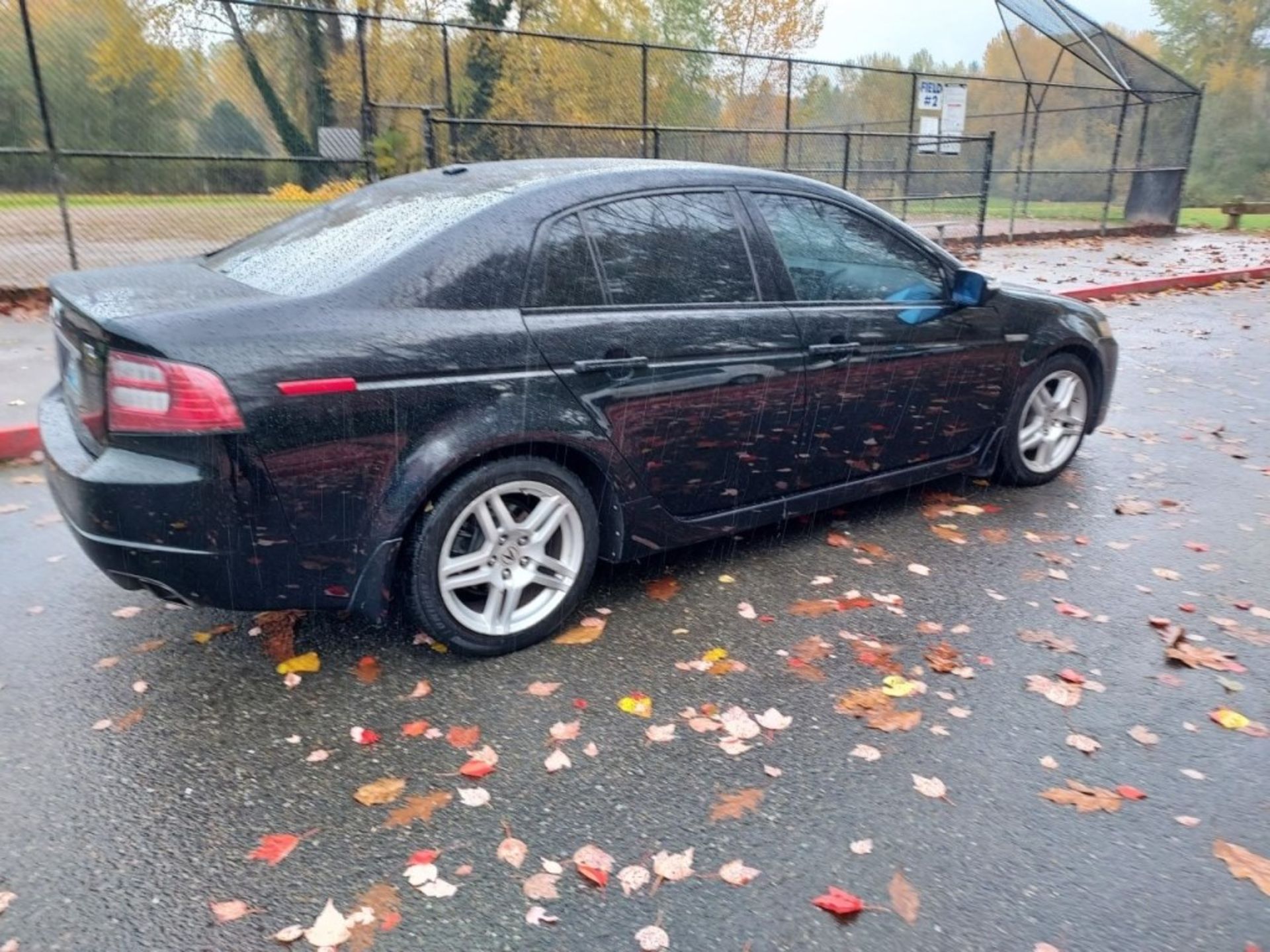 2008 Acura TL Sedan - Image 5 of 16