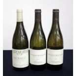 1 bt Meursault 'Les Grands Charrons' 2007 Michel Bouzereau & Fils hf 2 bts Chassagne-Montrachet 2007