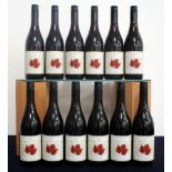 12 bts Saint Clair Estate Selection Pinot Noir 2016 Marlborough