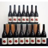 15 bts Saint Clair Estate Selection Pinot Noir 2016 Marlborough