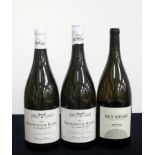 2 magnums Bourgogne Blanc Les Femelottes V.V. 2015 Chavy-Chouet 1 loose capsule 1 magnum Mâcon-