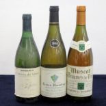 1 bt Costières de Nîmes 1992 Sainsburys Vts, bs 1 bt Crozes-Hermitage (blanc) Cave de Tain L'