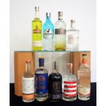 1 50 cl bt Seppeltsfield Road House Gin 41.5% 1 70-cl bt Dartmouth English Gin 45% 1 70-cl bt 6 O'