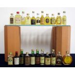 A Selection of 22 Assorted Whisky miniatures including:- Whyte & Mackays & Mortons